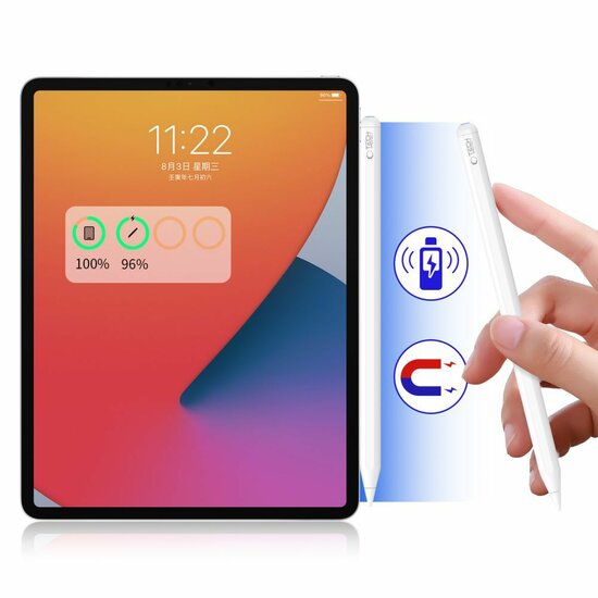 TechProtection Active 2 Magnetic Stylus Pen voor iPad wit
