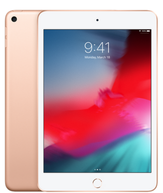 iPad mini 5 Hüllen (2019)